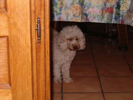 ulou 
